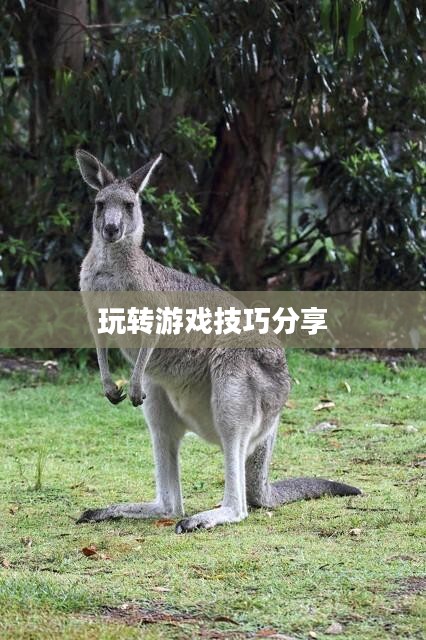 间谍老鼠手游攻略详解与技巧分享，玩转游戏攻略与技巧分享