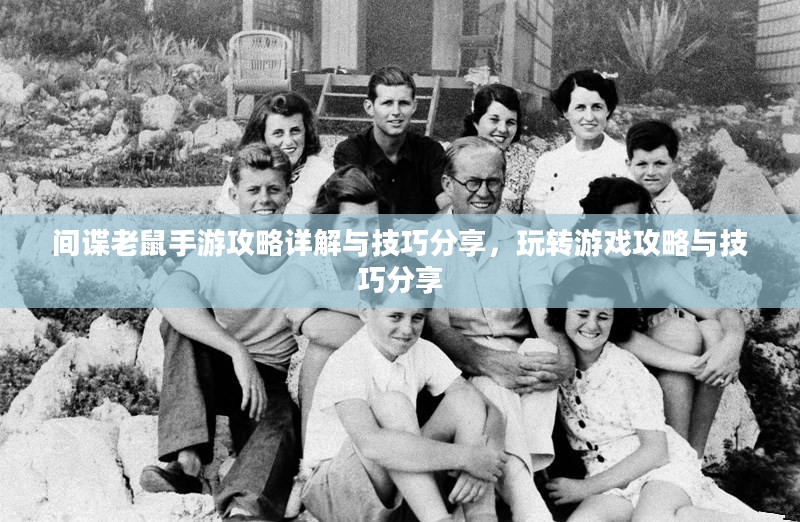 间谍老鼠手游攻略详解与技巧分享，玩转游戏攻略与技巧分享