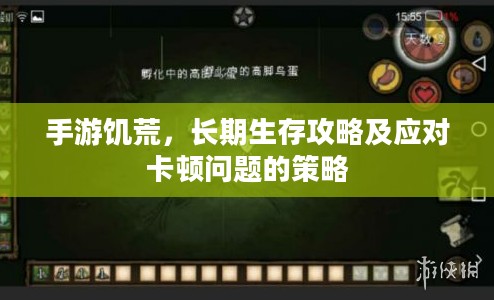 手游饥荒，长期生存攻略及应对卡顿问题的策略