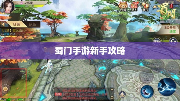蜀门手游新手攻略大全,从入门到精通的指南 蜀门手游新手攻略大全,从入门到精通的指南