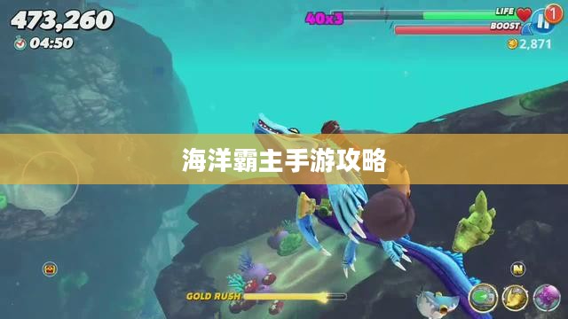 手游联盟海洋亚龙攻略,玩转海洋霸主游戏体验之旅 手游联盟海洋亚龙攻略,玩转海洋霸主游戏体验之旅