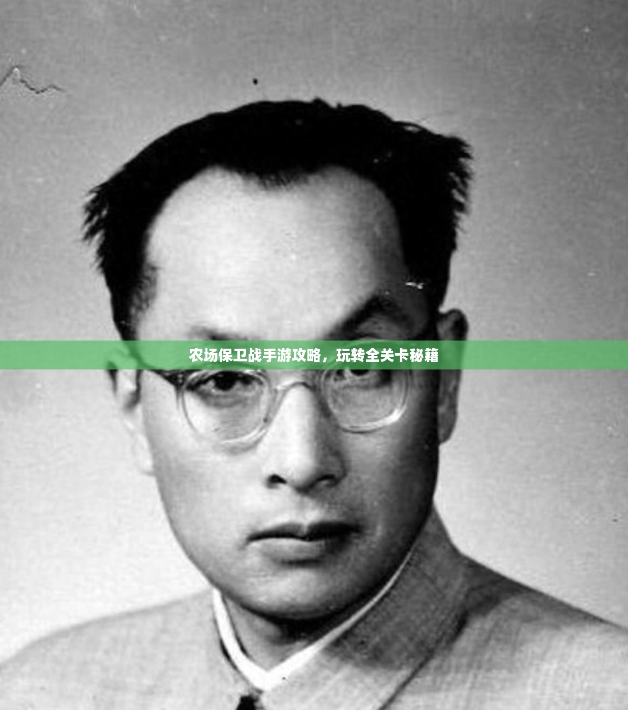 农场保卫战手游攻略，玩转全关卡秘籍