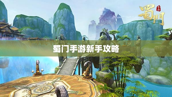 蜀门手游新手攻略，零起点蜀门探险之旅