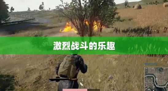 小型枪战手游,体验激烈战斗的乐趣 小型枪战手游,体验激烈战斗的乐趣