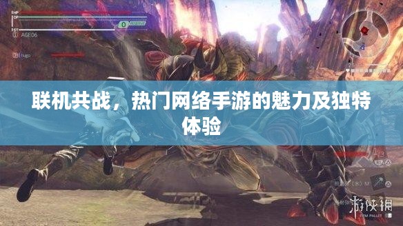 联机共战，热门网络手游的魅力及独特体验
