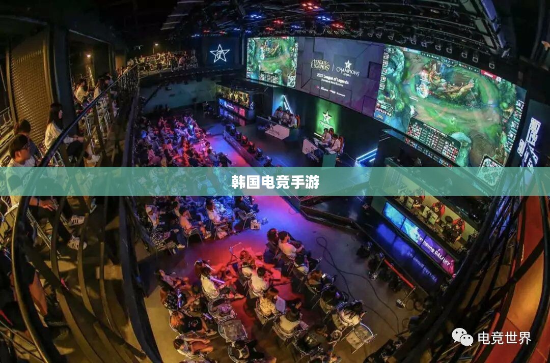 韩国电竞手游的世界探索与独特魅力之旅