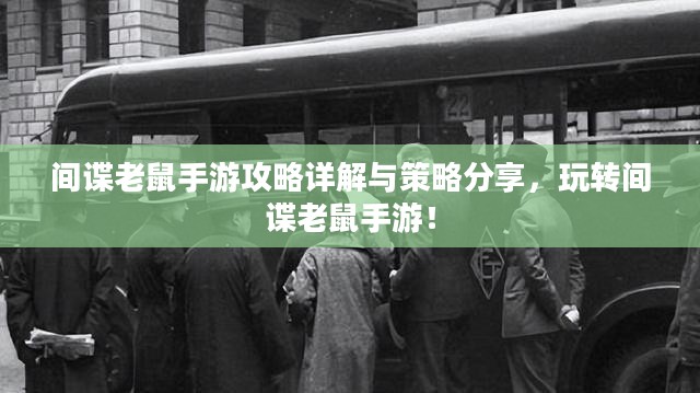 间谍老鼠手游攻略详解与策略分享，玩转间谍老鼠手游！