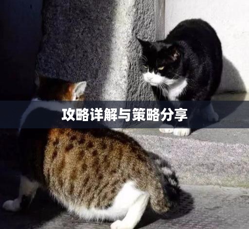 间谍老鼠手游攻略详解与策略分享,玩转间谍老鼠手游! 间谍老鼠手游攻略详解与策略分享,玩转间谍老鼠手游!