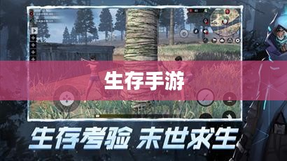 生存手游,离线体验的乐趣与生存挑战 生存手游,离线体验的乐趣与生存挑战