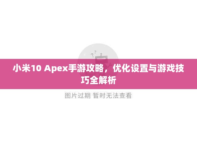 小米10 Apex手游攻略，优化设置与游戏技巧全解析