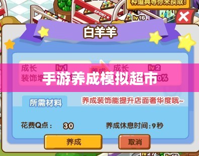 手游养成模拟超市，攻略与策略实战指南