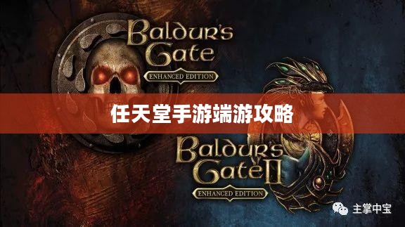 新人玩转任天堂手游端游攻略