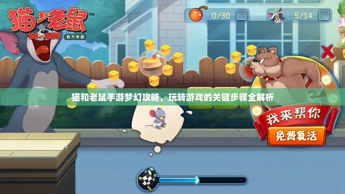 猫和老鼠手游梦幻攻略，玩转游戏的关键步骤全解析