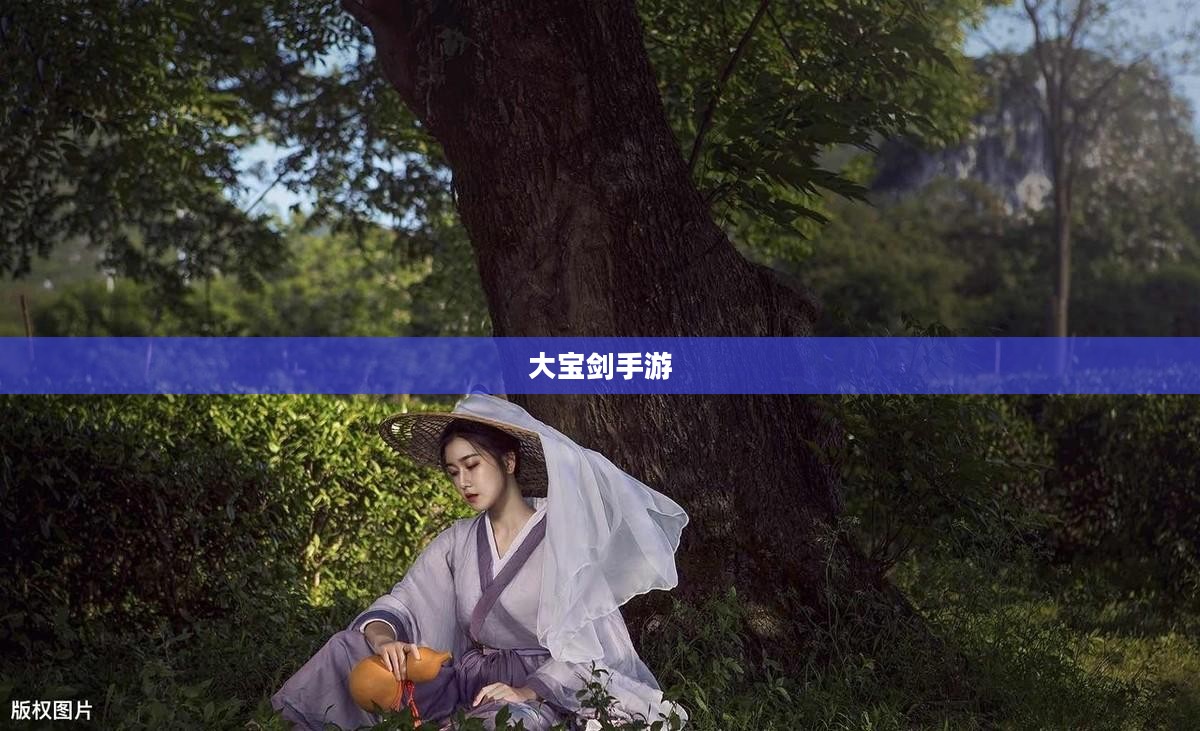 大宝剑手游，经典乐趣，尽享游戏时光