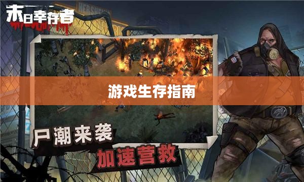 末世启示手游攻略，生存游戏的关键步骤指南