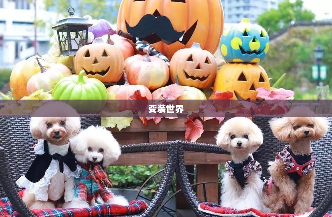 探索变装世界的魅力，推荐值得一玩的变装手游