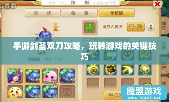 手游剑圣双刀攻略，玩转游戏的关键技巧