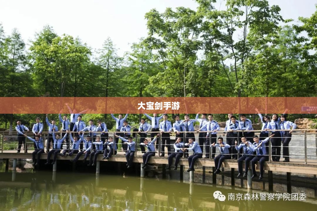 大宝剑手游，指尖上的游戏盛宴