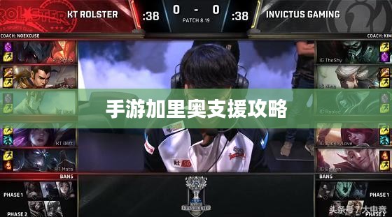 手游加里奥支援攻略，玩转技能与战术的实战指南