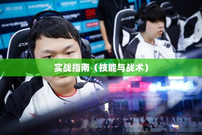 手游加里奥支援攻略,玩转技能与战术的实战指南 手游加里奥支援攻略,玩转技能与战术的实战指南