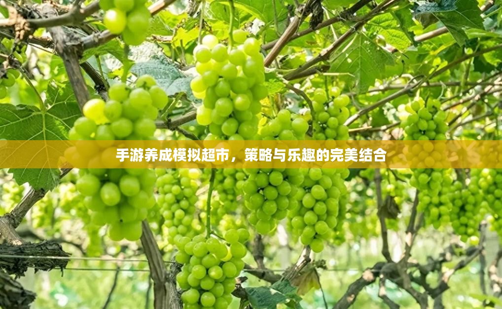 手游养成模拟超市，策略与乐趣的完美结合