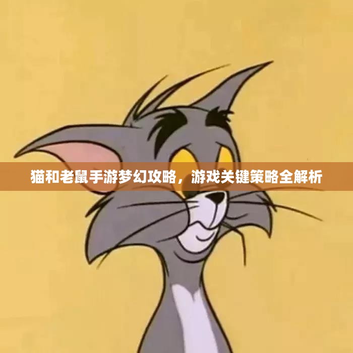 猫和老鼠手游梦幻攻略,游戏关键策略全解析 猫和老鼠手游梦幻攻略,游戏关键策略全解析