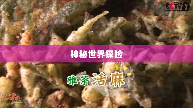 神秘世界探险，大宝剑手游的无尽乐趣