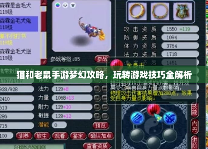 猫和老鼠手游梦幻攻略，玩转游戏技巧全解析