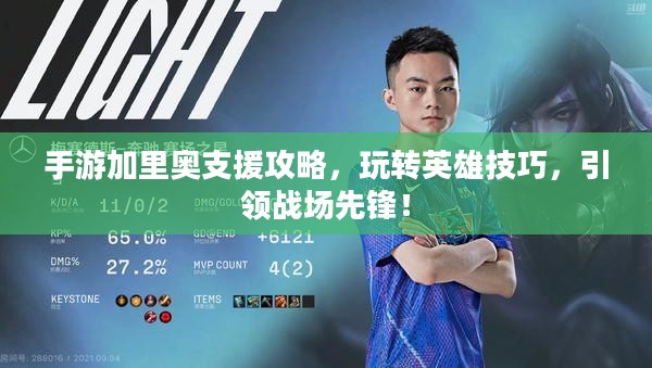 手游加里奥支援攻略，玩转英雄技巧，引领战场先锋！