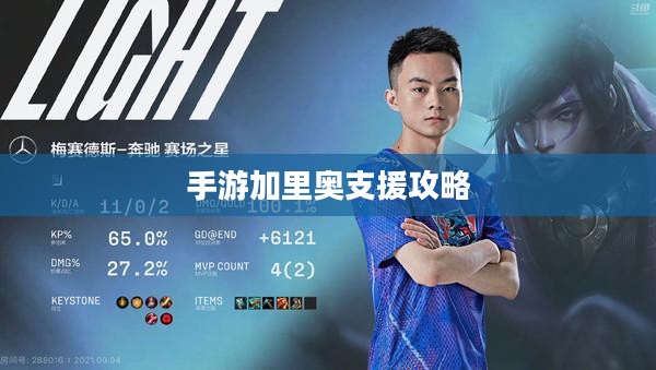 手游加里奥支援攻略，玩转英雄技巧，引领战场先锋！