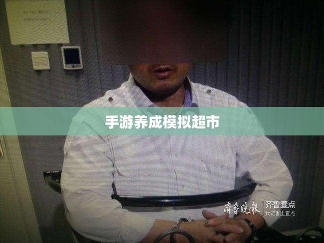 手游养成模拟超市,攻略与策略实战指南 手游养成模拟超市,攻略与策略实战指南