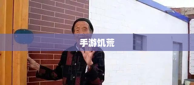 手游饥荒,生存之道与提示卡的智慧攻略 手游饥荒,生存之道与提示卡的智慧攻略