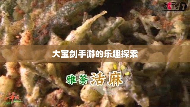 神秘世界探险之旅，大宝剑手游的乐趣探索