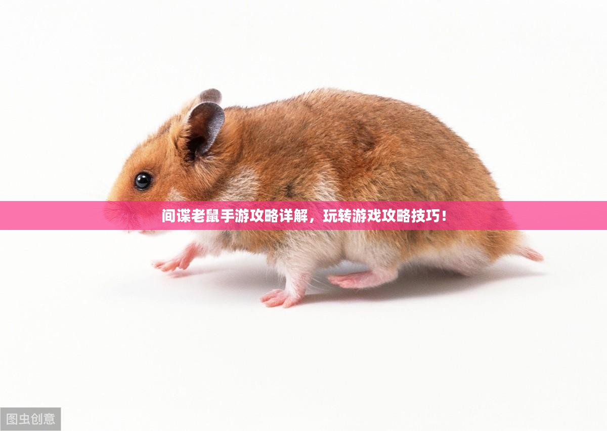 间谍老鼠手游攻略详解,玩转游戏攻略技巧! 间谍老鼠手游攻略详解,玩转游戏攻略技巧!