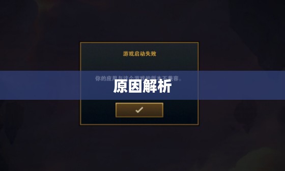 云顶手游无法运行，原因解析及解决方案