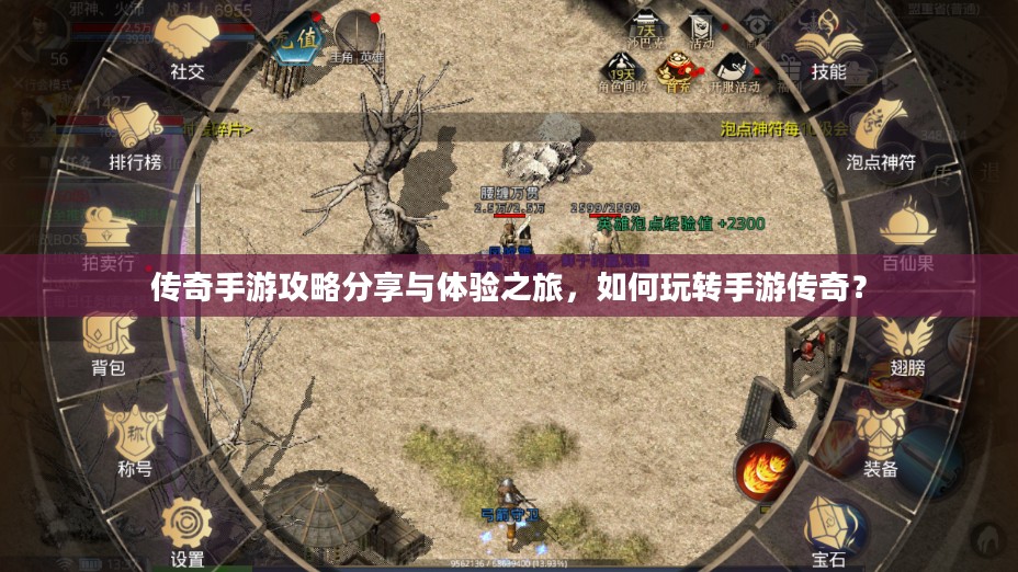 传奇手游攻略分享与体验之旅，如何玩转手游传奇？