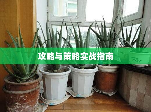 手游养成模拟超市，攻略与策略实战指南