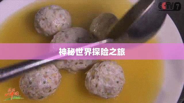 神秘世界探险之旅，大宝剑手游的乐趣探索