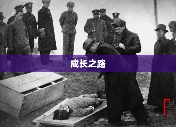 探索成长之路,无限可能的养成手游体验 探索成长之路,无限可能的养成手游体验