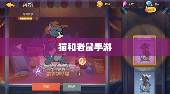 猫和老鼠手游梦幻攻略，玩转游戏世界的秘诀！
