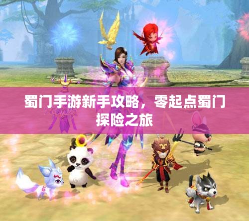蜀门手游新手攻略，零起点蜀门探险之旅