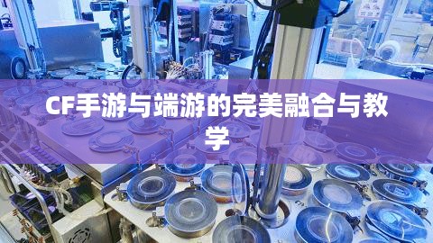 餐饮老师跨界游戏，CF手游与端游的完美融合与教学新篇章