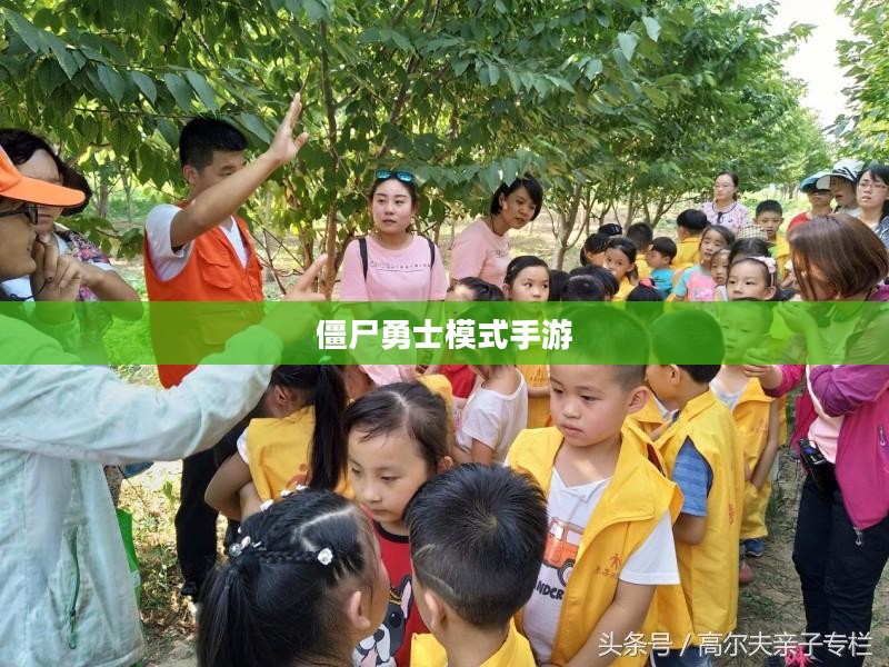 玩转僵尸勇士模式手游攻略指南