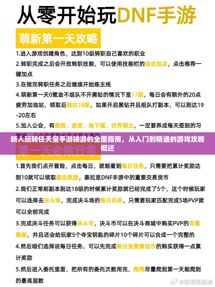 新人玩转任天堂手游端游的全面指南，从入门到精通的游戏攻略概述