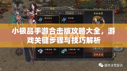 小极品手游合击版攻略大全,游戏关键步骤与技巧解析 小极品手游合击版攻略大全,游戏关键步骤与技巧解析