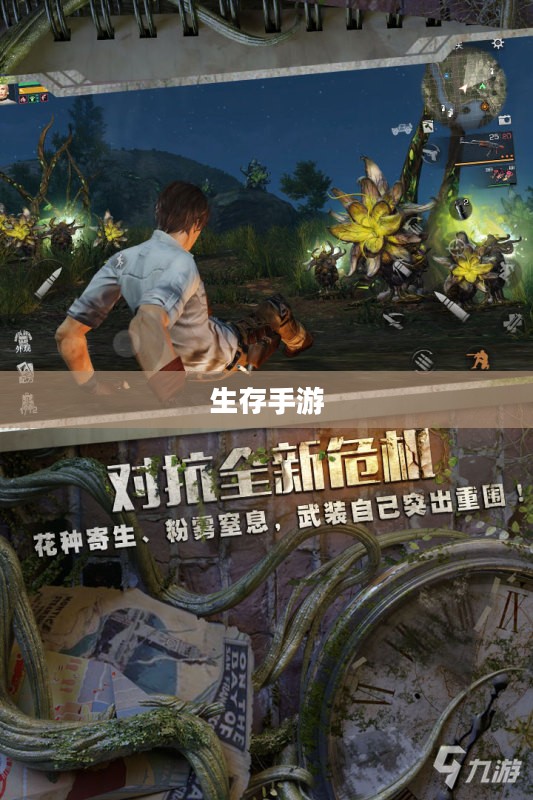 生存手游，离线体验的独特魅力探索