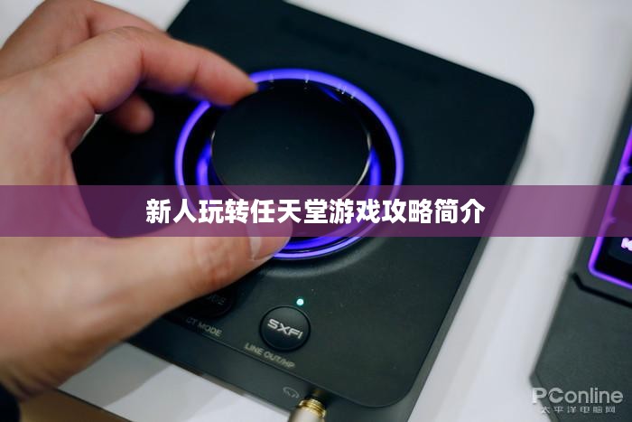 新人玩转任天堂手游端游的攻略与简介 新人玩转任天堂手游端游的攻略与简介
