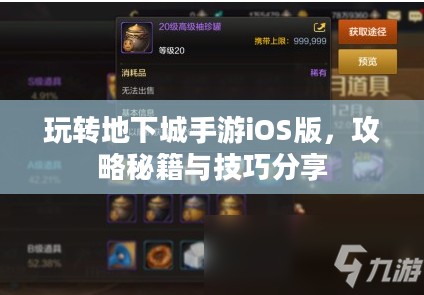 玩转地下城手游iOS版，攻略秘籍与技巧分享