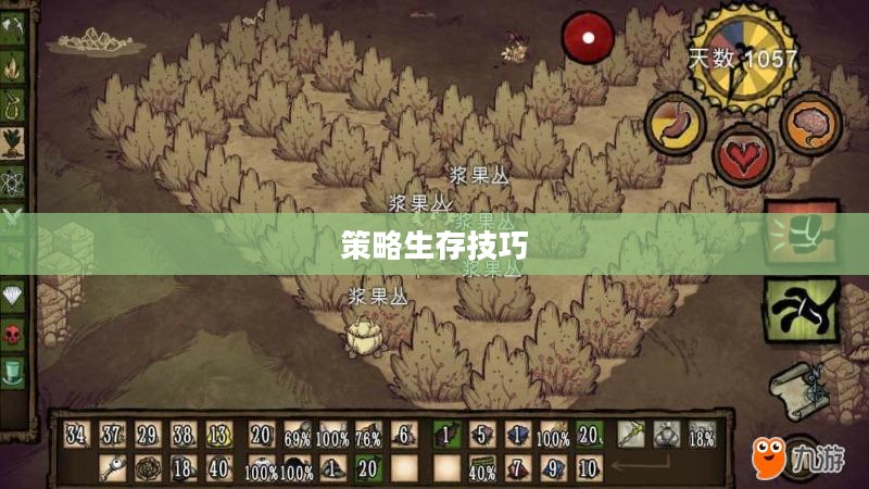 手游饥荒，智慧生存与提示卡的策略探索