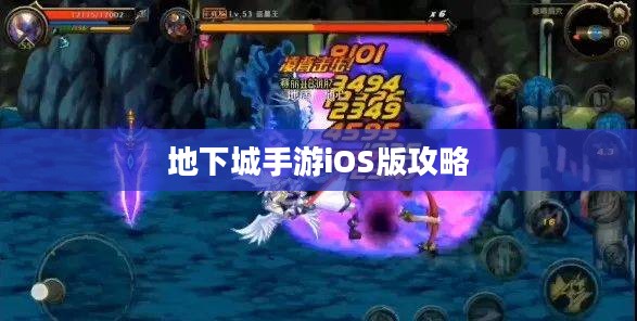 地下城手游iOS版攻略大全,玩转游戏必备指南 地下城手游iOS版攻略大全,玩转游戏必备指南
